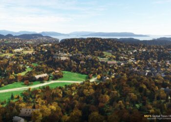 MSFS Global Trees Screenshot