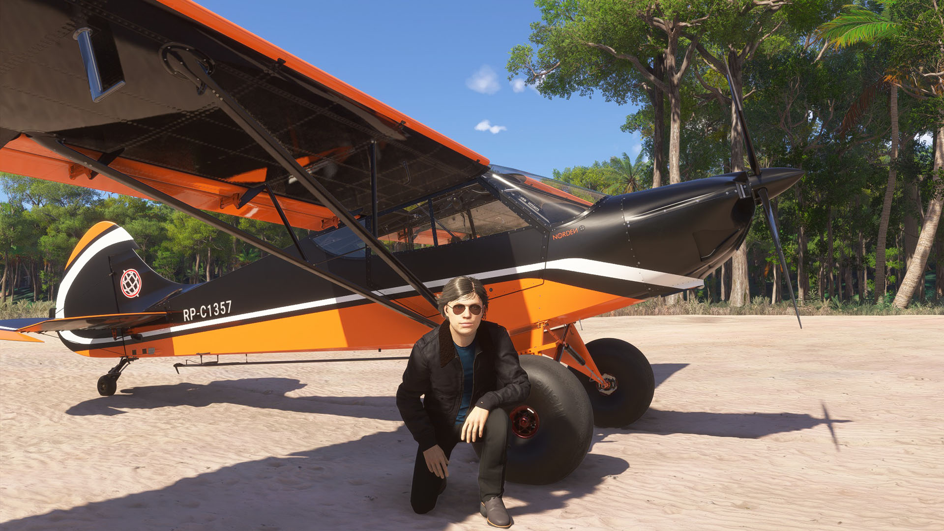 Microsoft Flight Simulator 2024