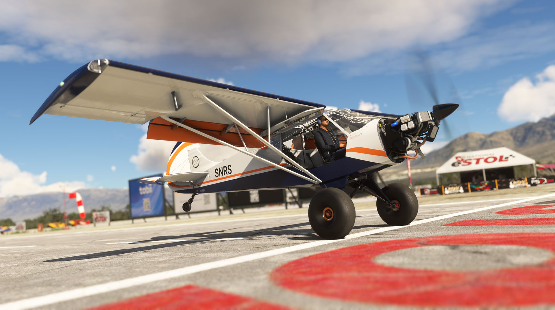 Microsofty Flight Simulator 2024 Got Friends (6)