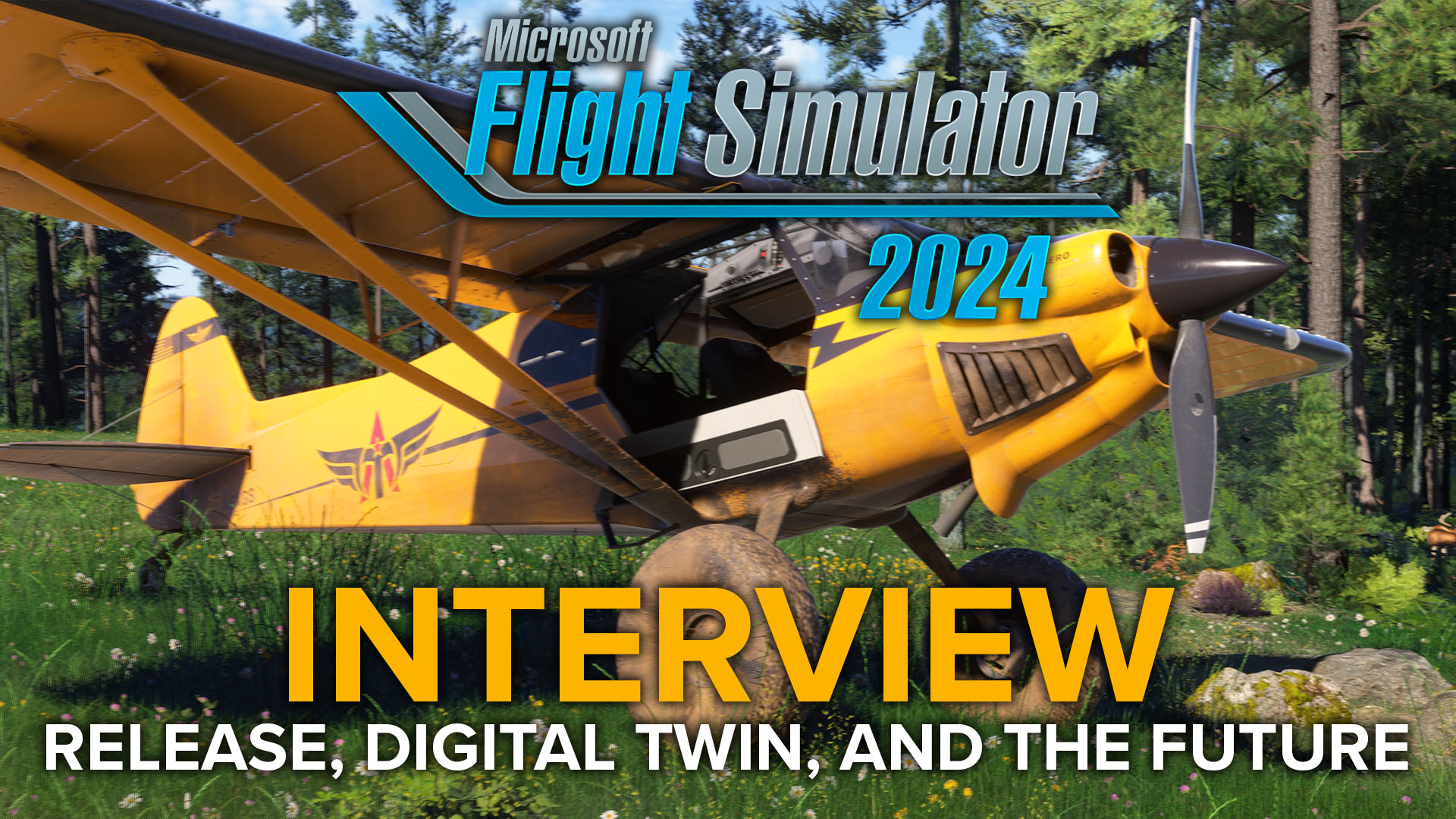 Microsoft Flight Simulator 2024 Jorg Neaumann Interview Hero