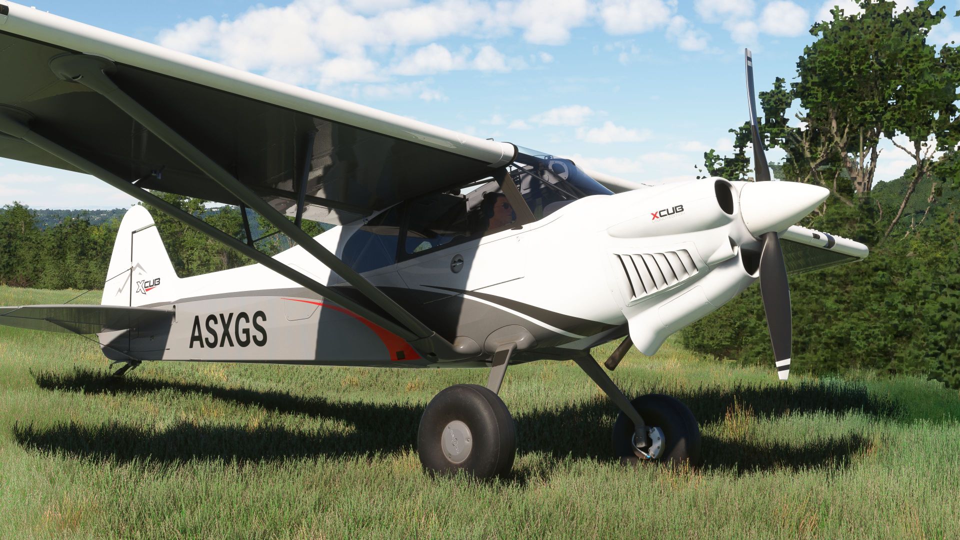 Microsoft Flight Simulator 2024 XCUB