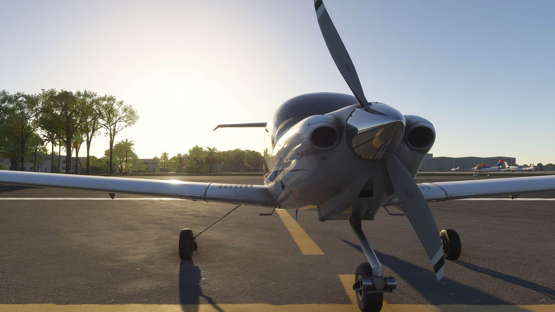 Microsoft Flight Simulator Diamond DA40 XLS