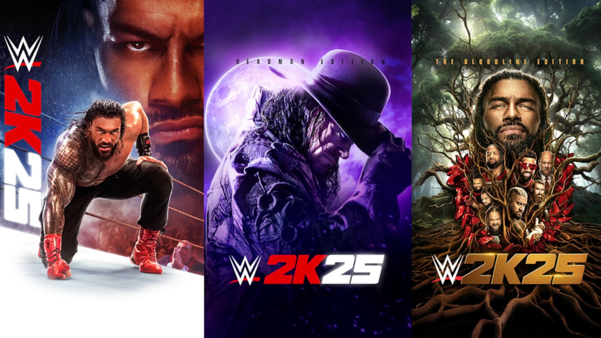 WWE 2K25 Reveals Roman Reigns as Cover Star & Many More Details