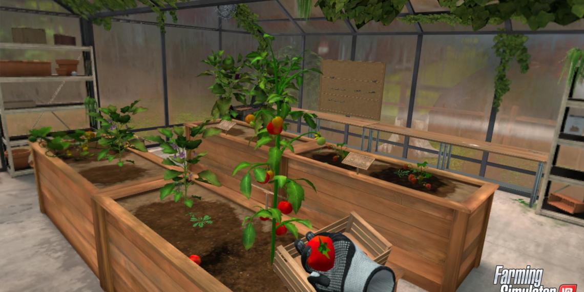 harvesting tomato Farming Simulator VR