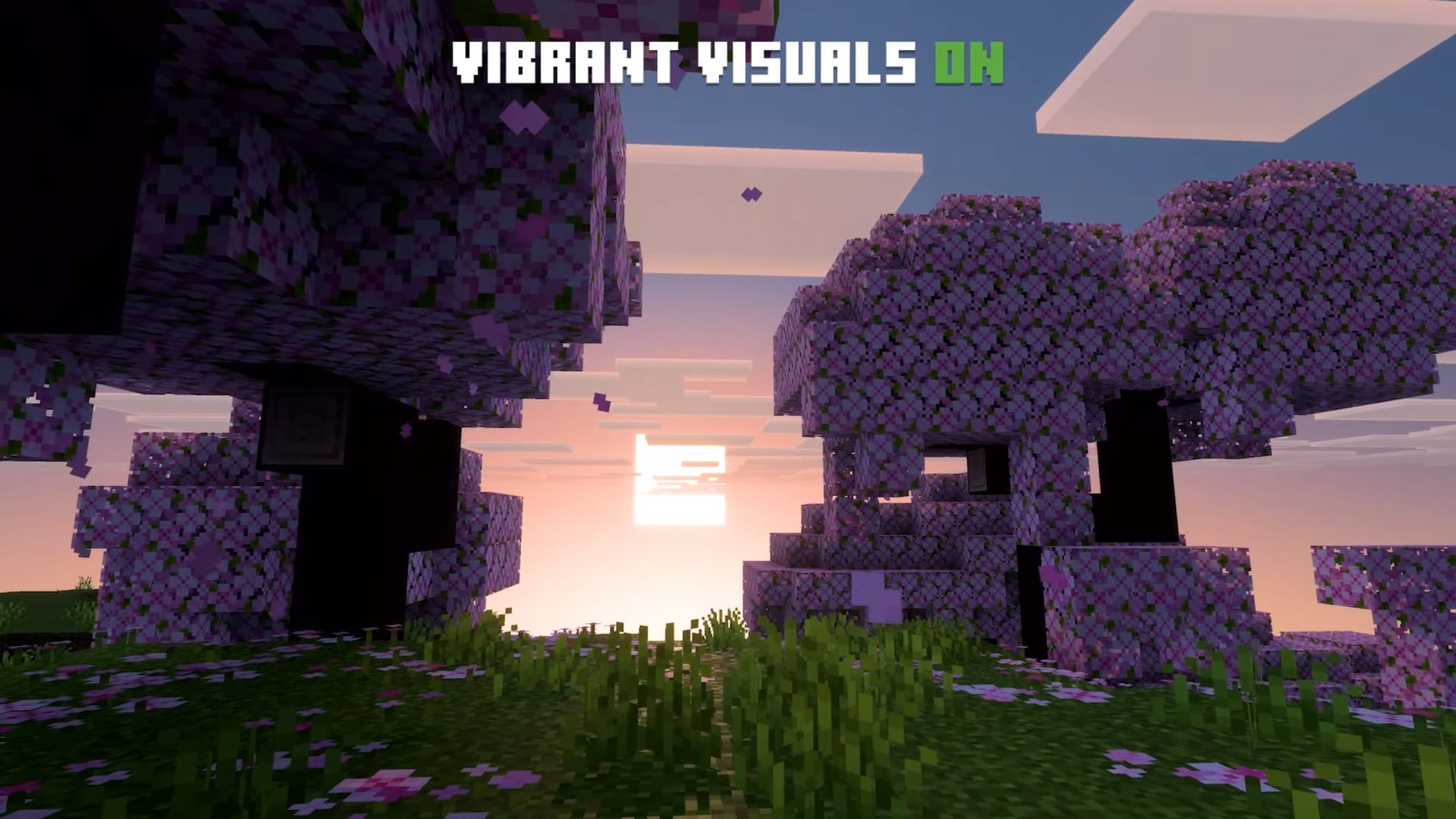 Minecraft Vibrant Visuals