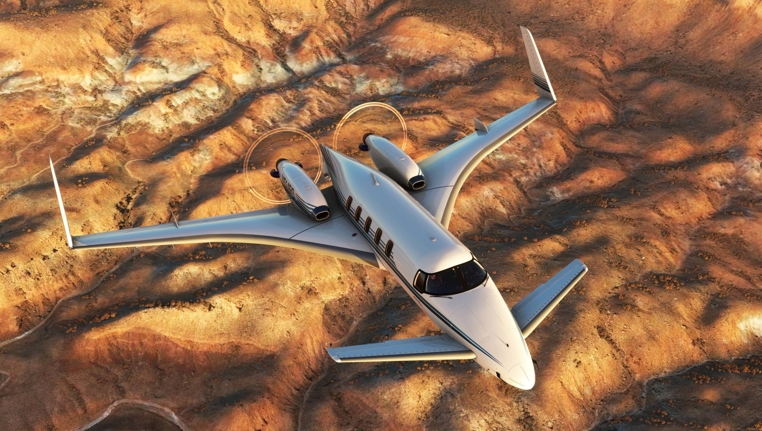 Microsoft Flight Simulator Starship