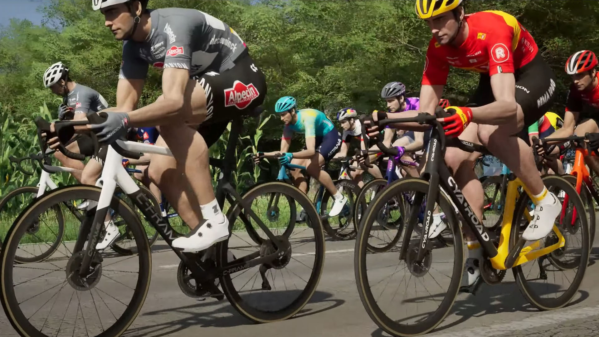 Riders in Pro Cycling Manager 25
