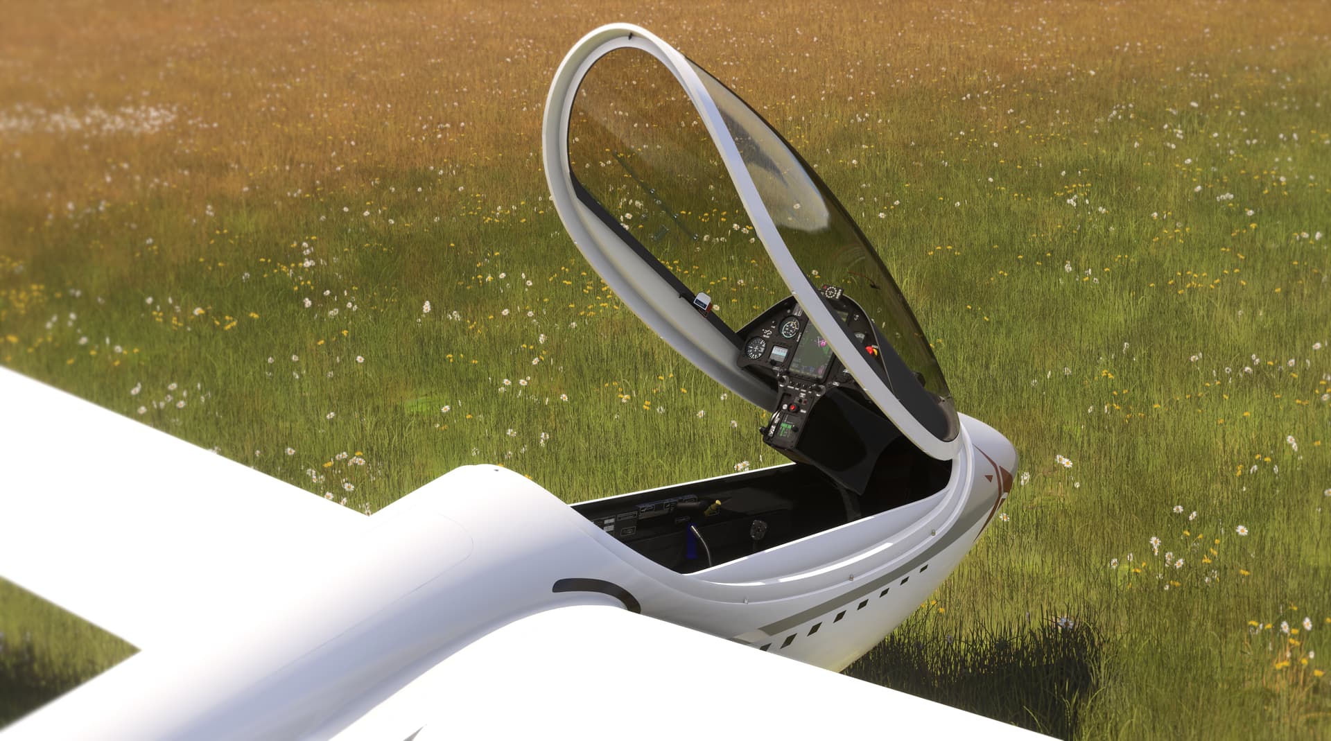 Microsoft Flight Simulator AS 33 Me