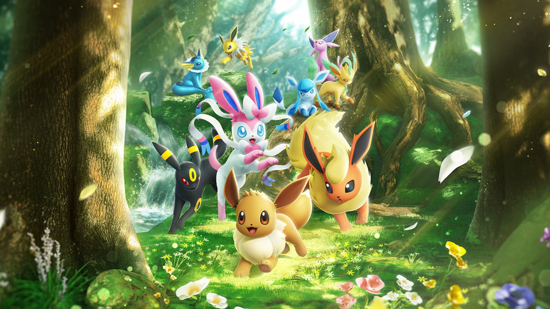 Pomemon TCG Pocket Eevee Grove key art