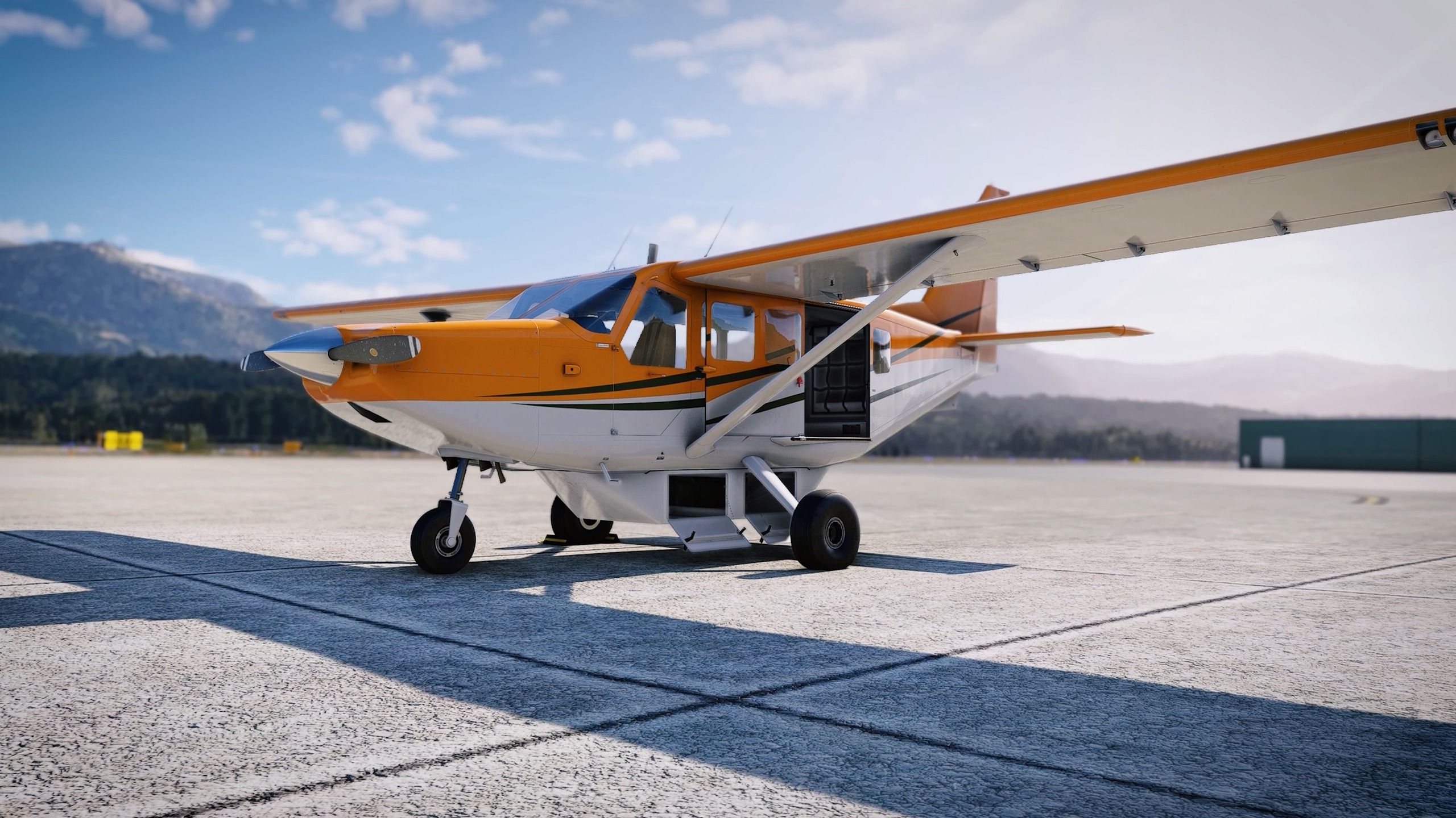 Microsoft Flight Simulator Airvan