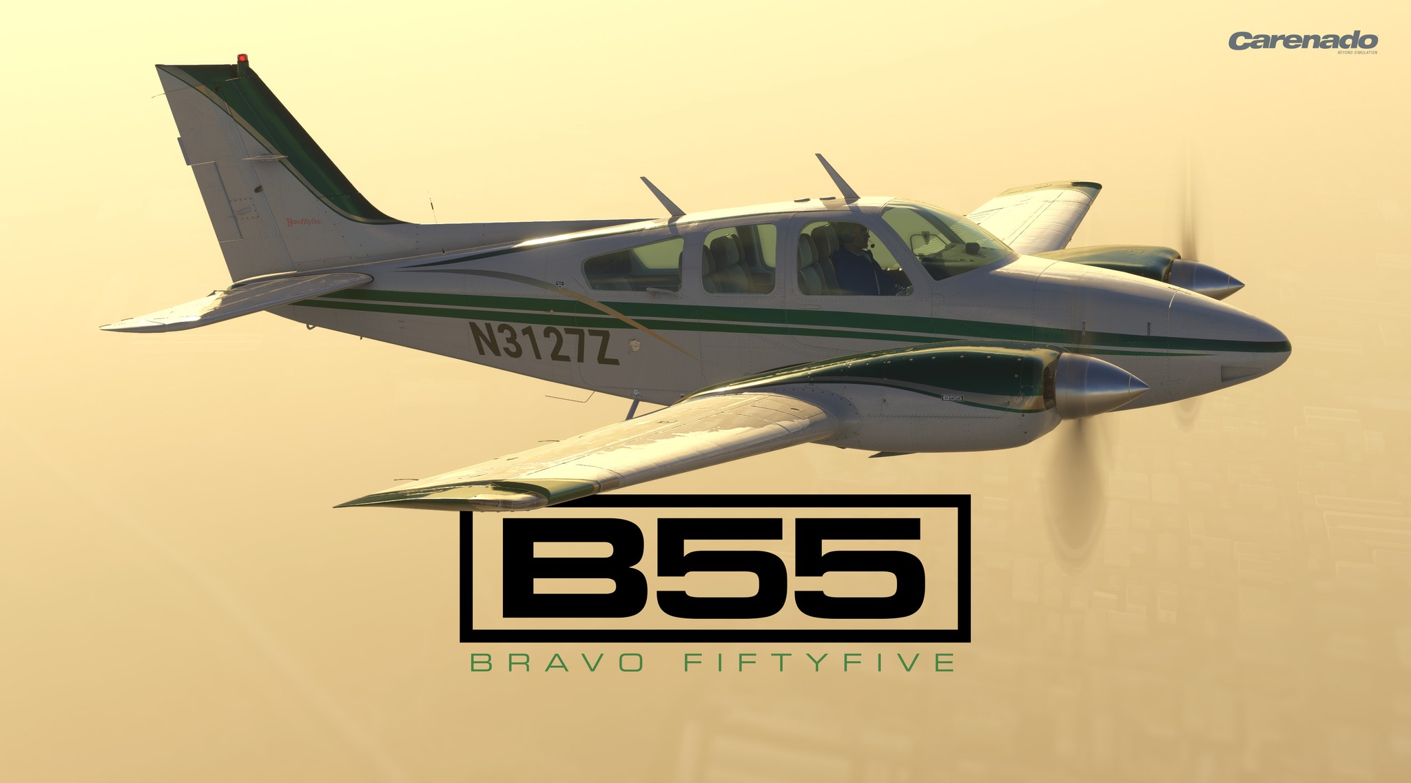 Microsoft Flight Simulator B55