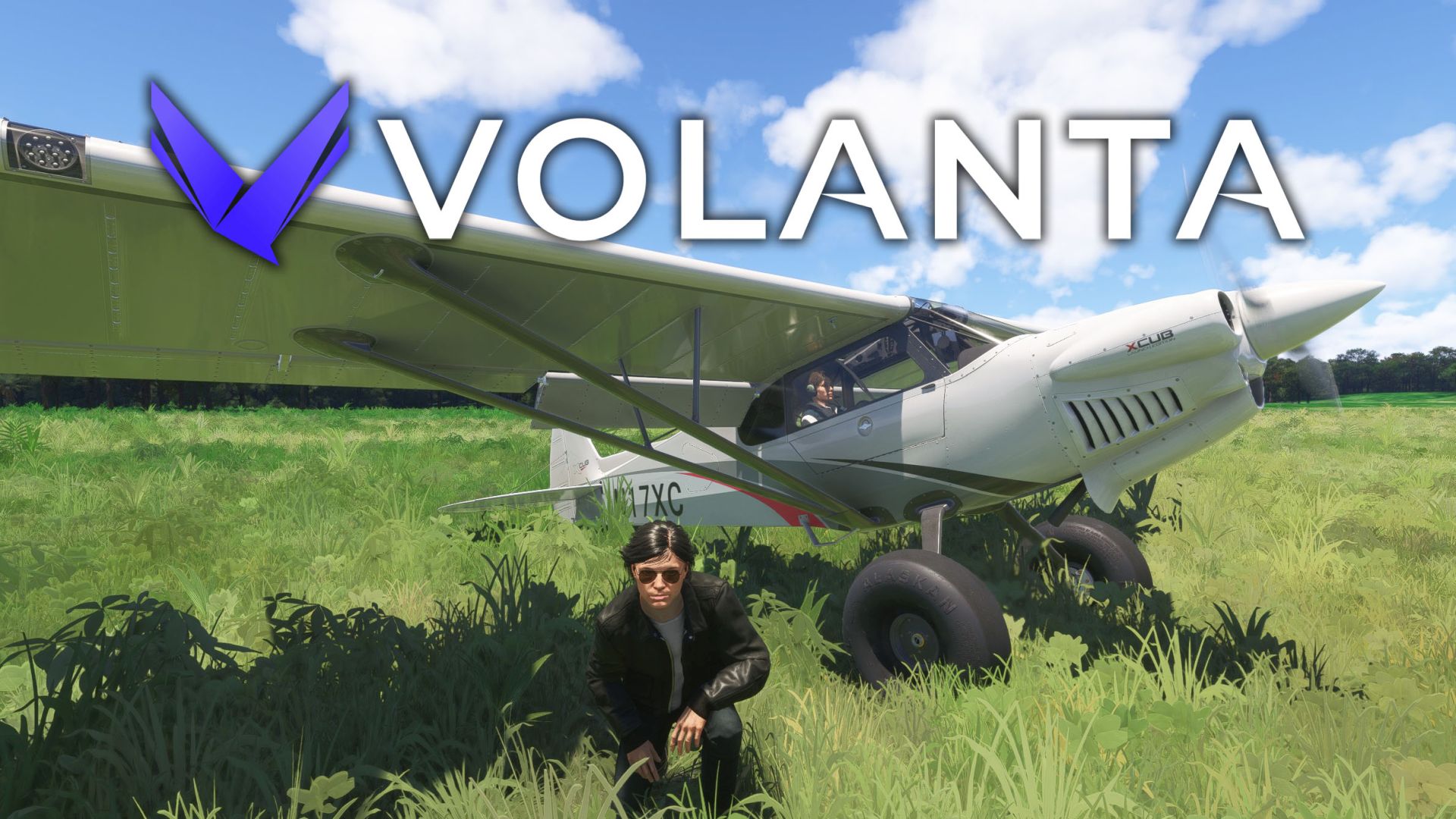 Volanta X Cub in Microsoft Flight Simulator 2024