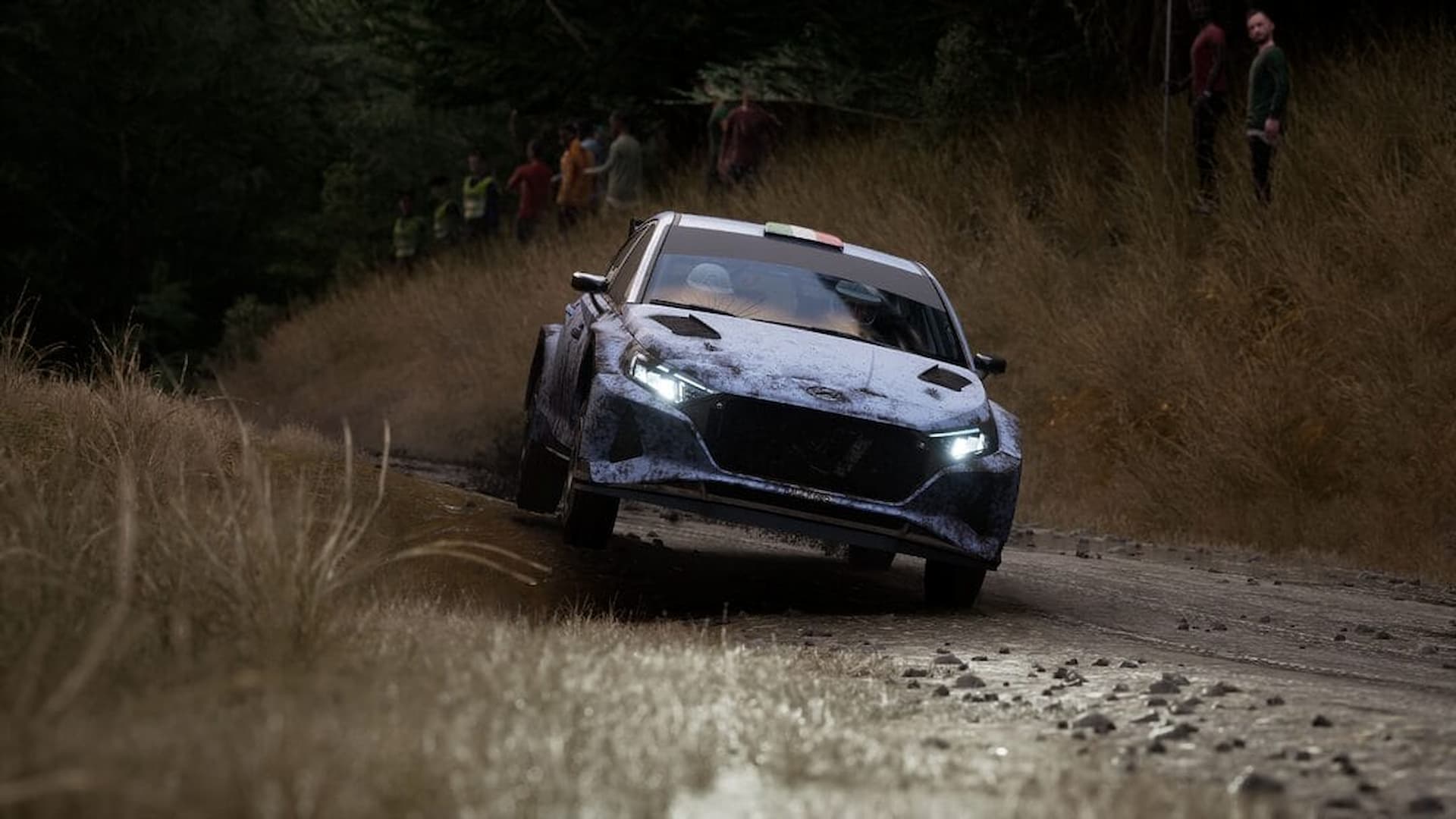 Assetto Corsa Rally racing