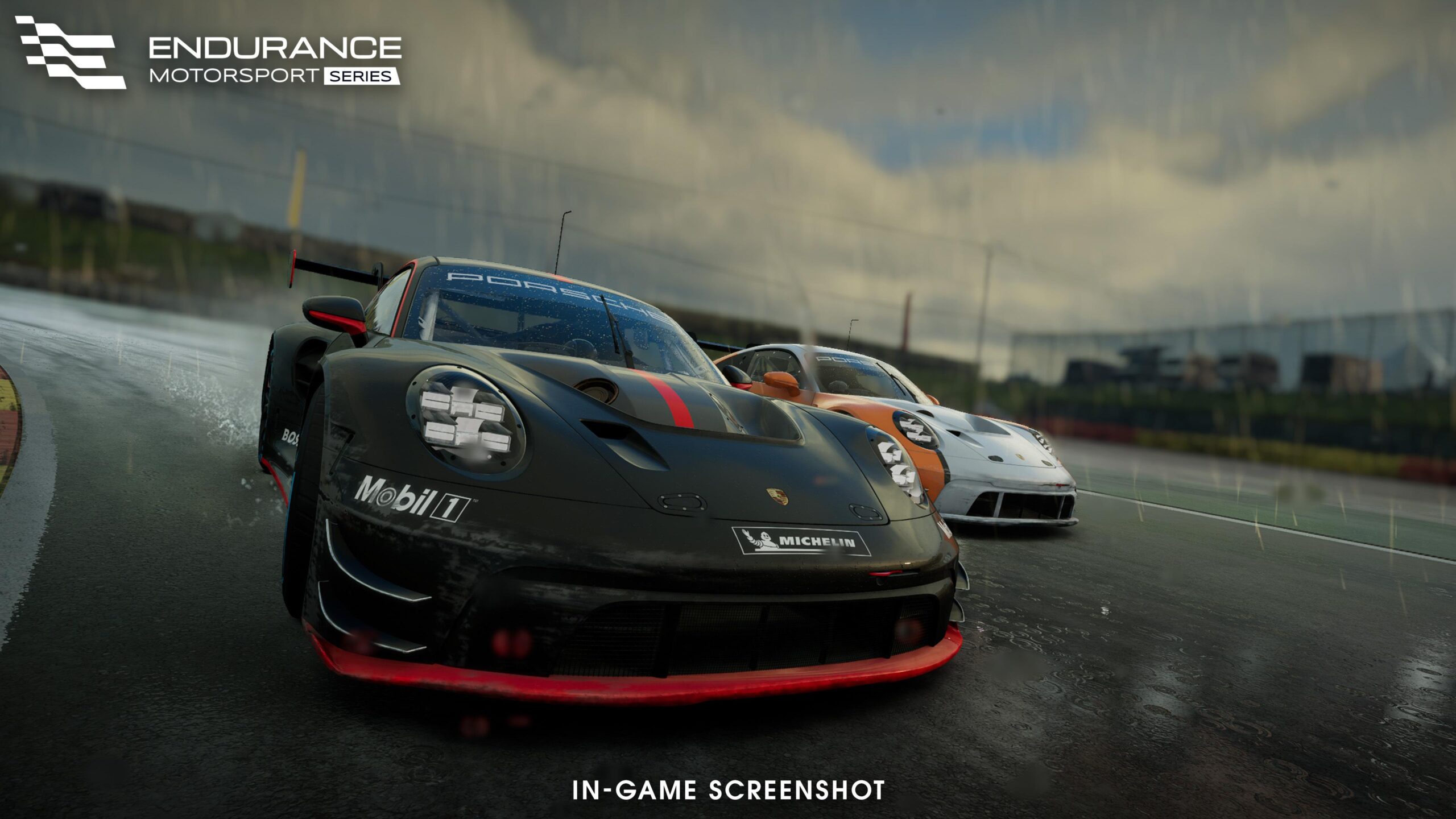 Endurance Motorsport Series Porsche