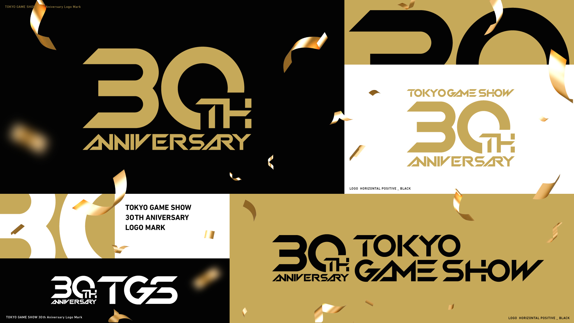 Tokyo Game Show 30th Anniversary