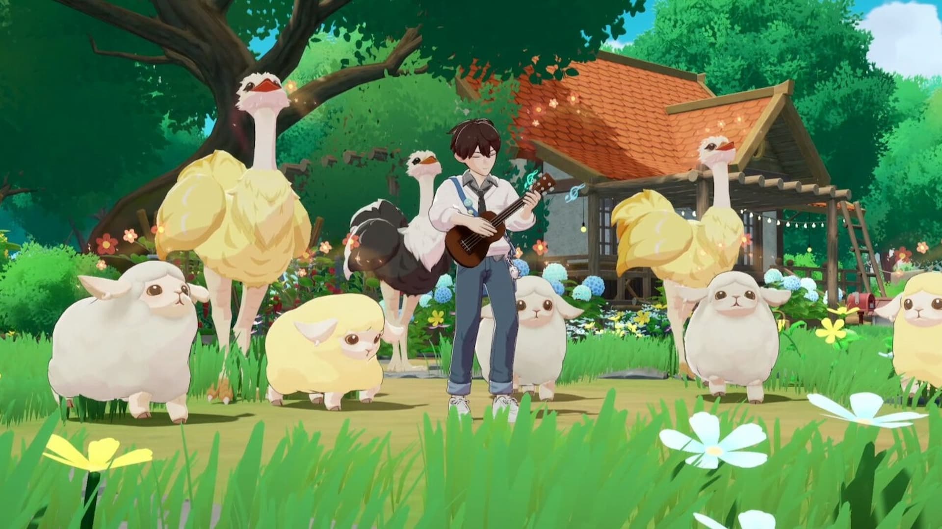 Starsand Island playing instrument