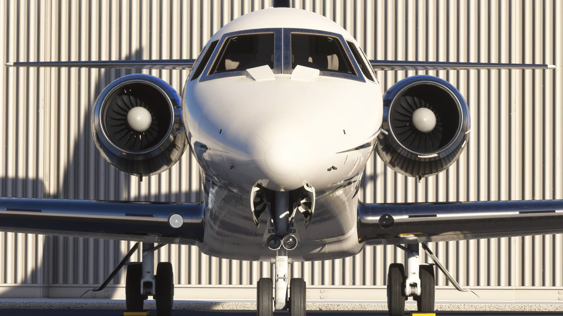 A flight simulation scene: Microsoft Flight Simulator Cessna Sovereign+