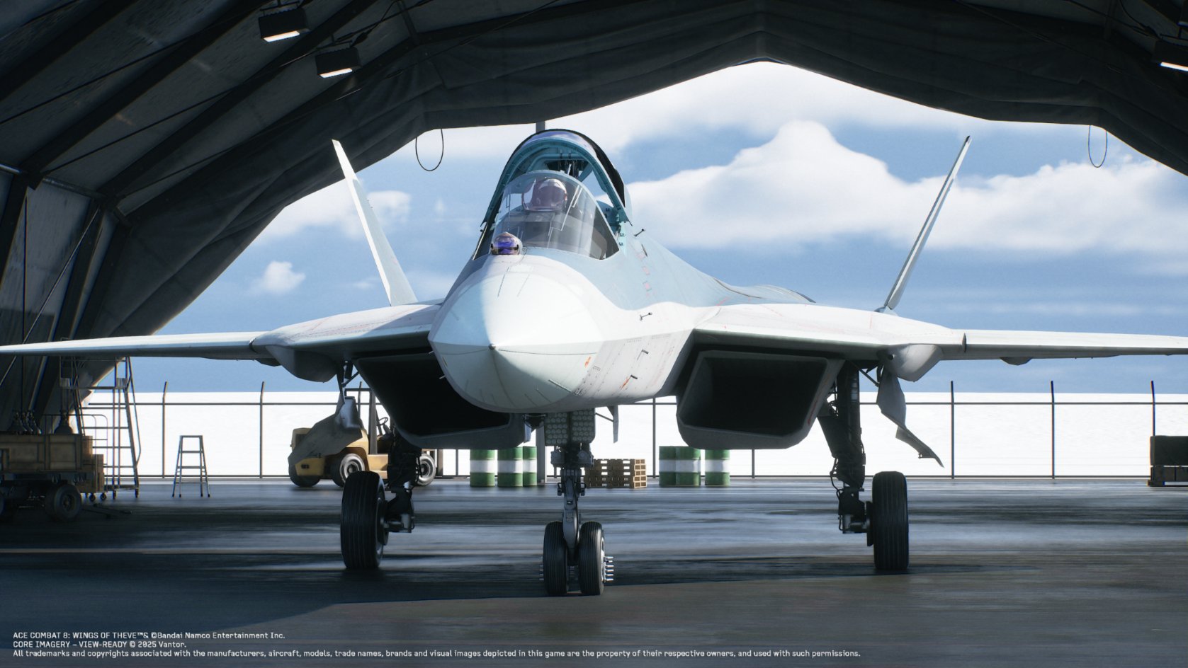Ace Combat 8 Felon