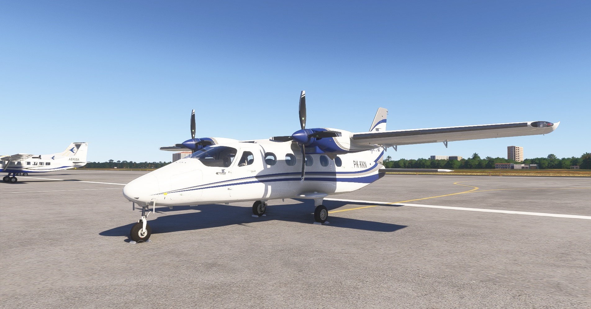 A flight simulation scene: Microsoft Flight Simulator 2024 Tecnam