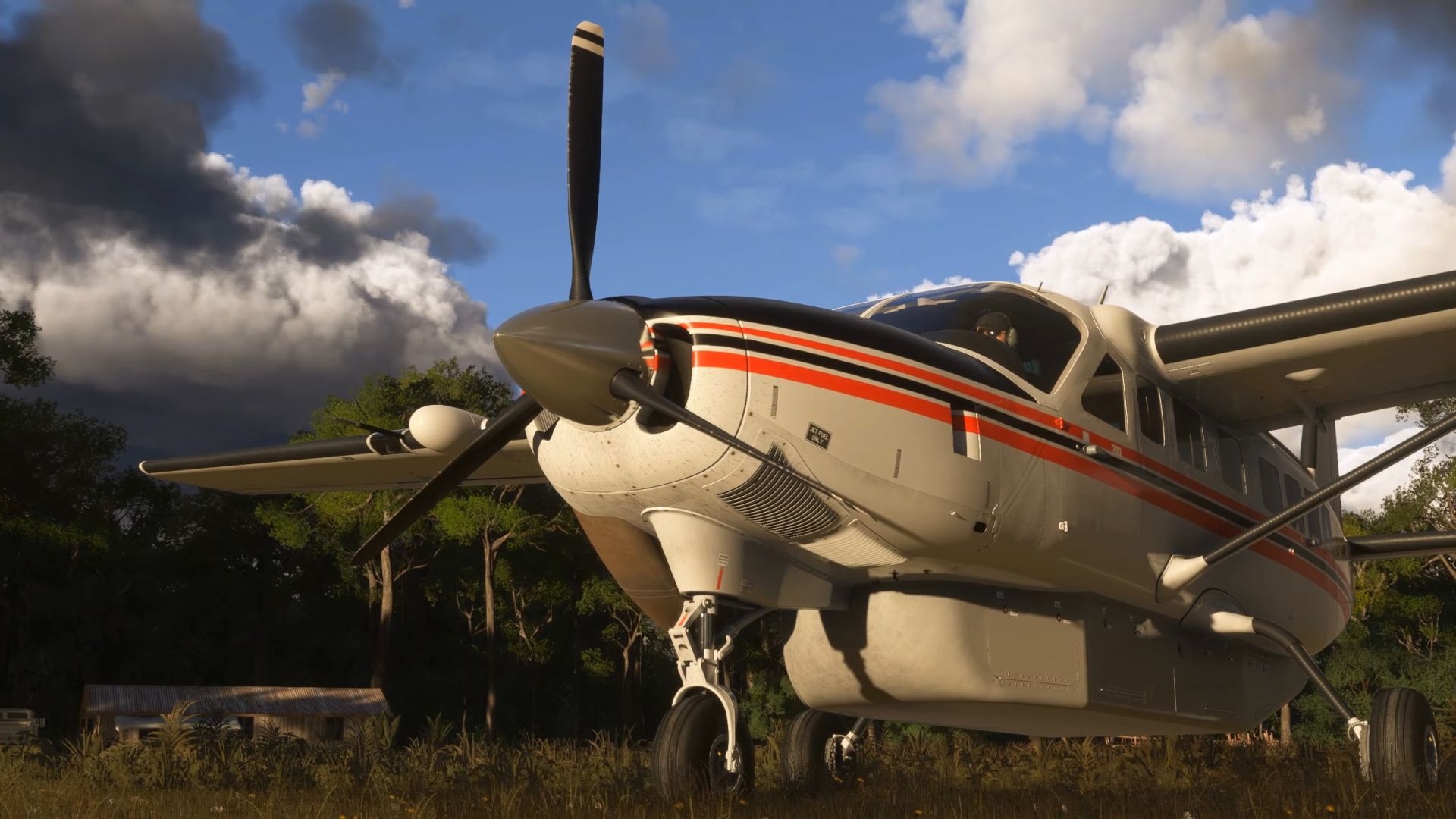 a flight simulation scene: Microsoft Flight Simulator Black Square Caravan