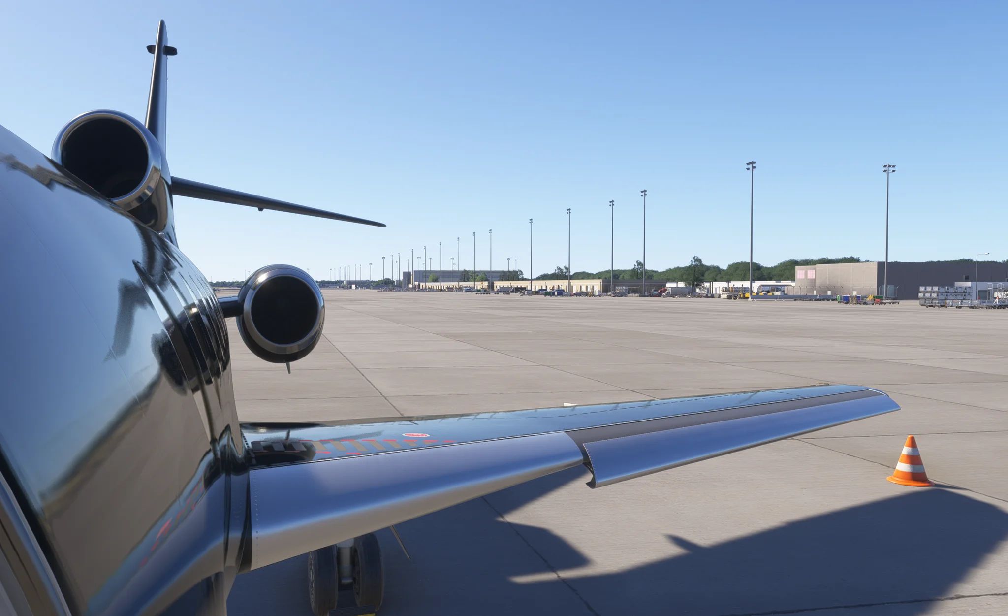 A flight simulation scene: Microsoft Flight Simulator Falcon 50