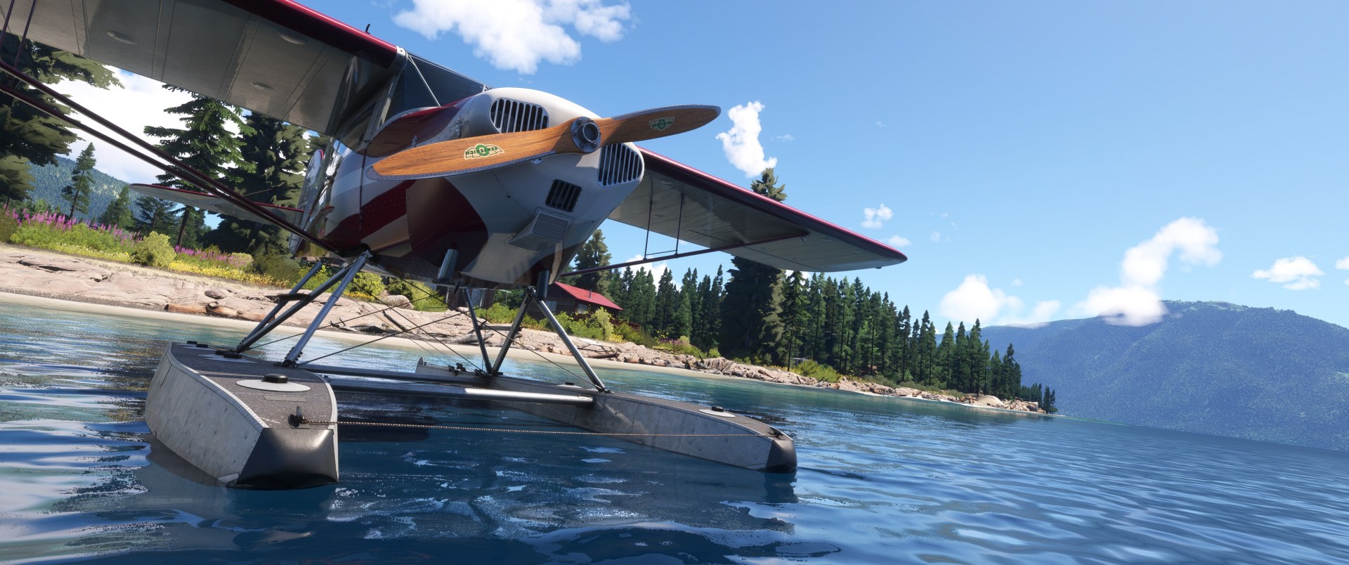 Microsoft Flight Simulator Taylorcraft