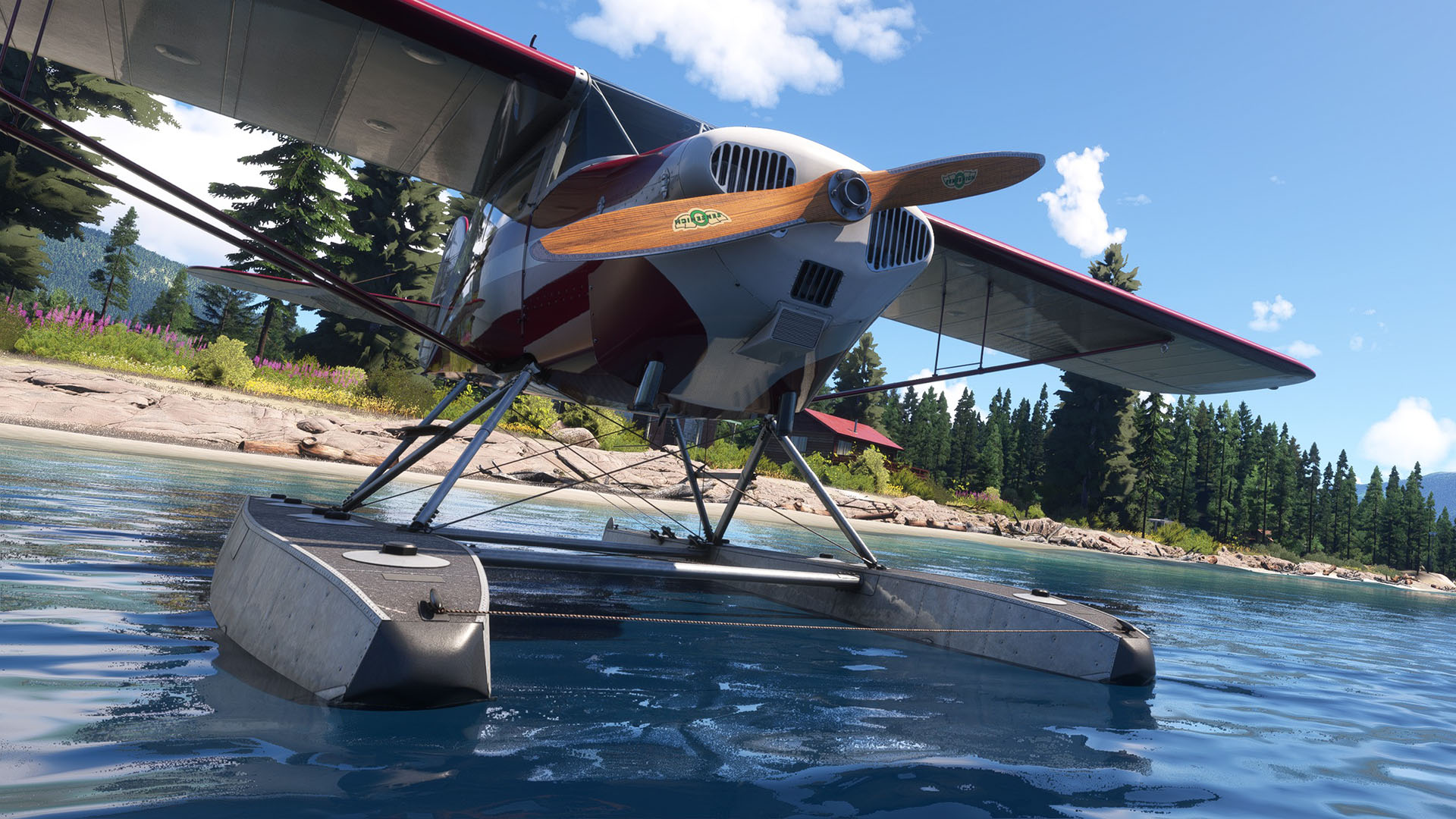 Microsoft Flight Simulator Taylorcraft