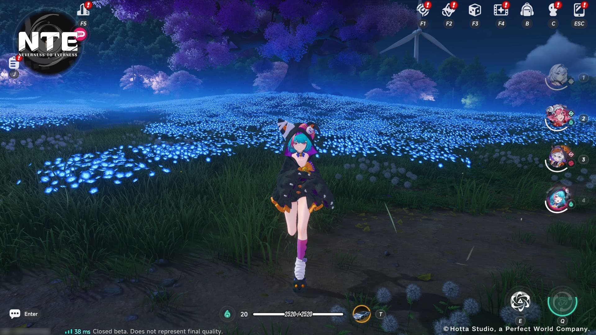 Never to Everness outfit 1