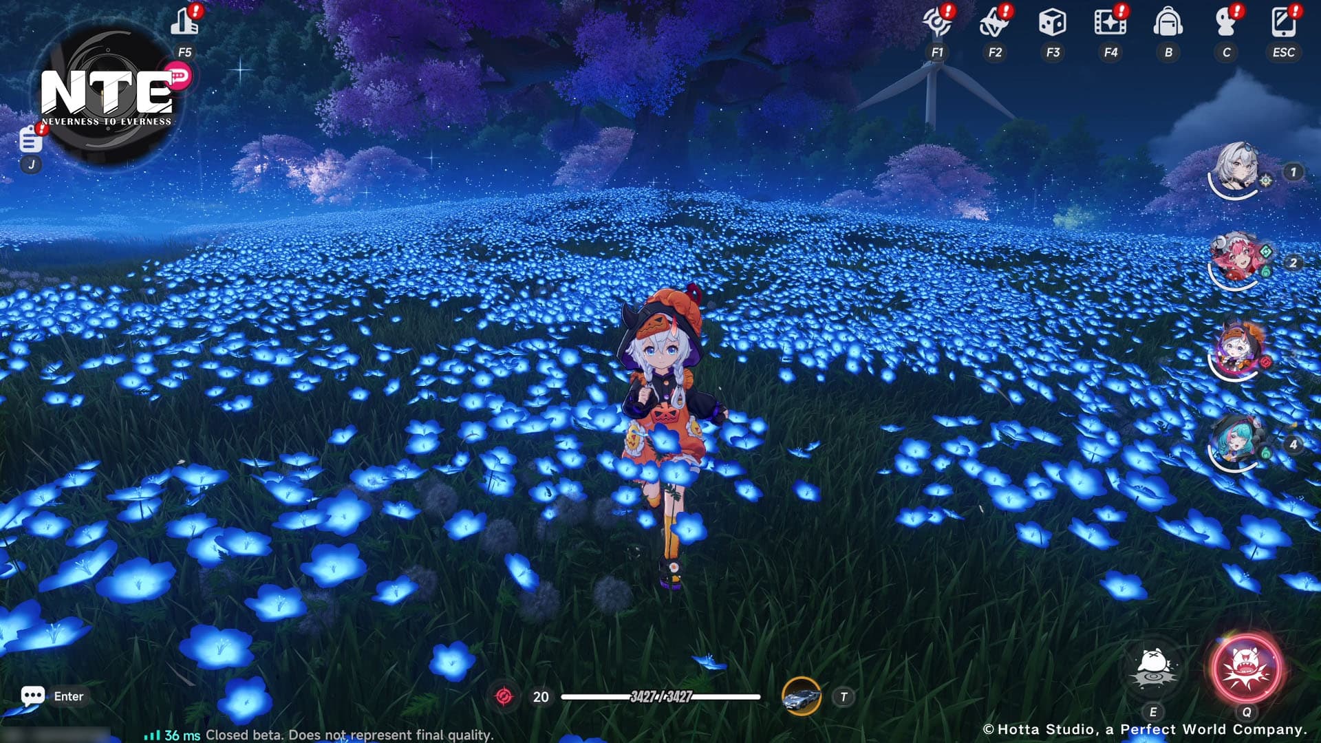 Never to Everness outfit 2