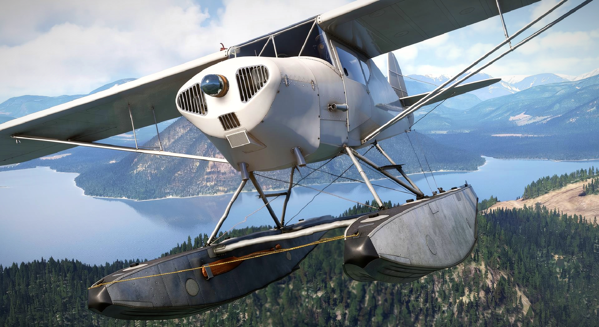 A flight simulation scene: Microsoft Flight Simulator Taylorcraft