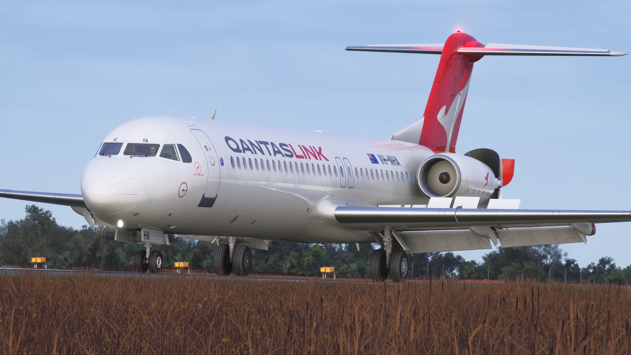 A flight simulation scene: Microsoft Flight Simulator Fokker F100