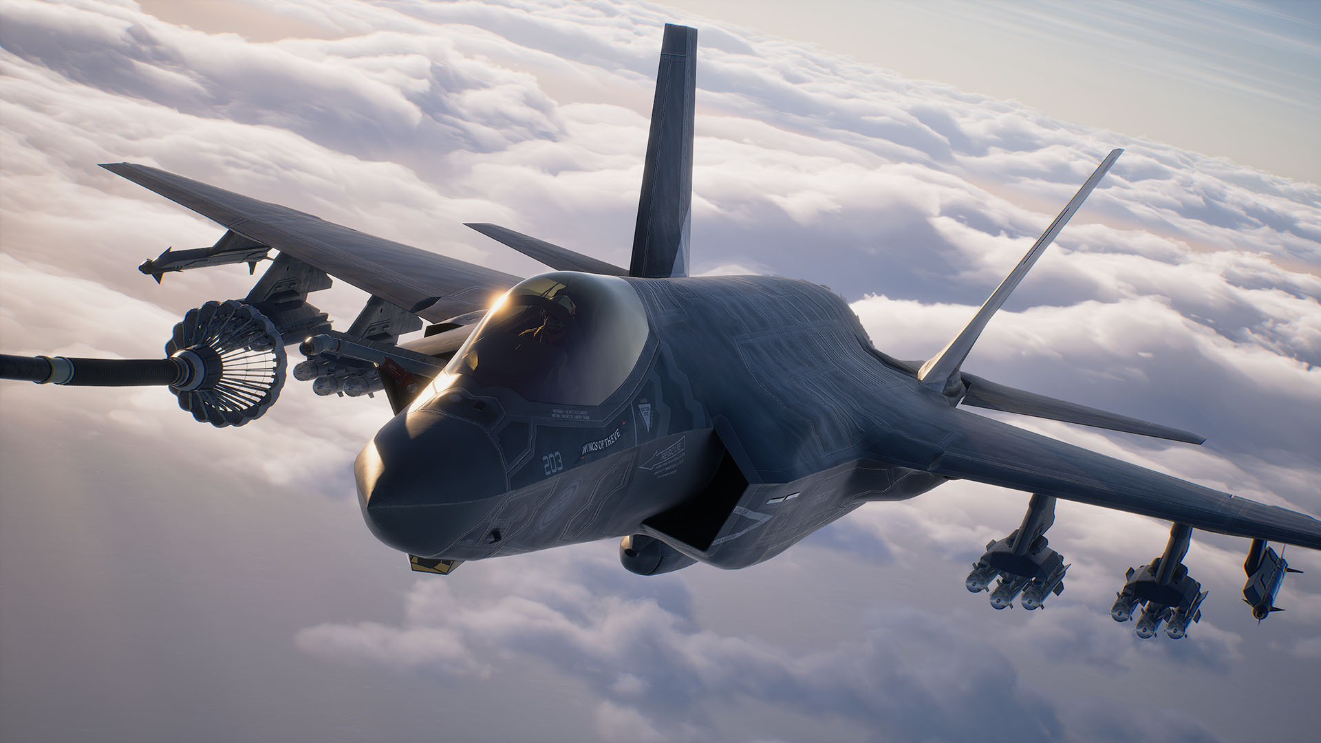 Ace Combat 8: Wings of Theve F-35