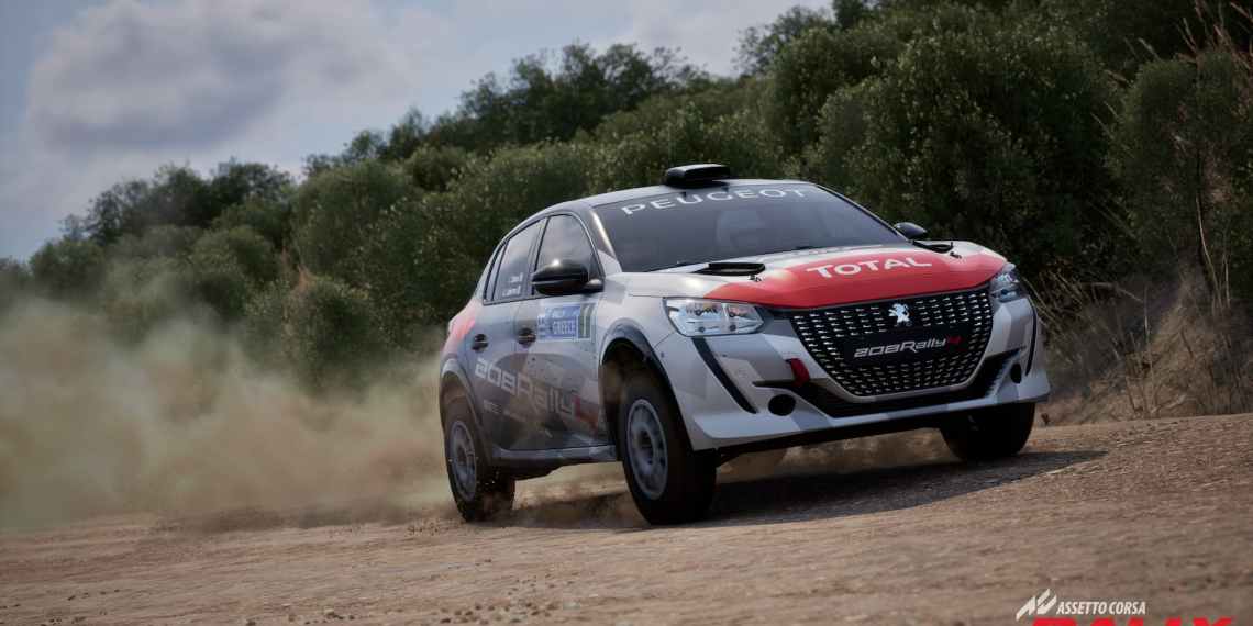Assetto Corsa Rally Update 0.5 screenshot 9
