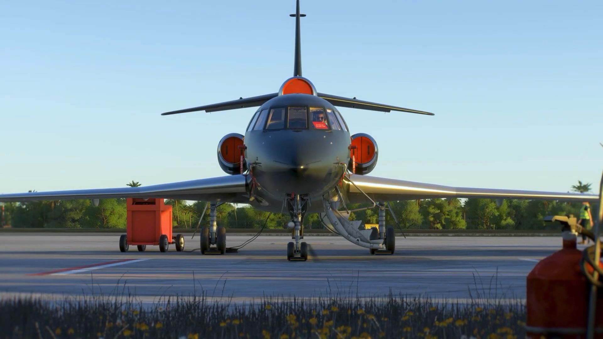 Microsoft Flight Simulator Falcon 50