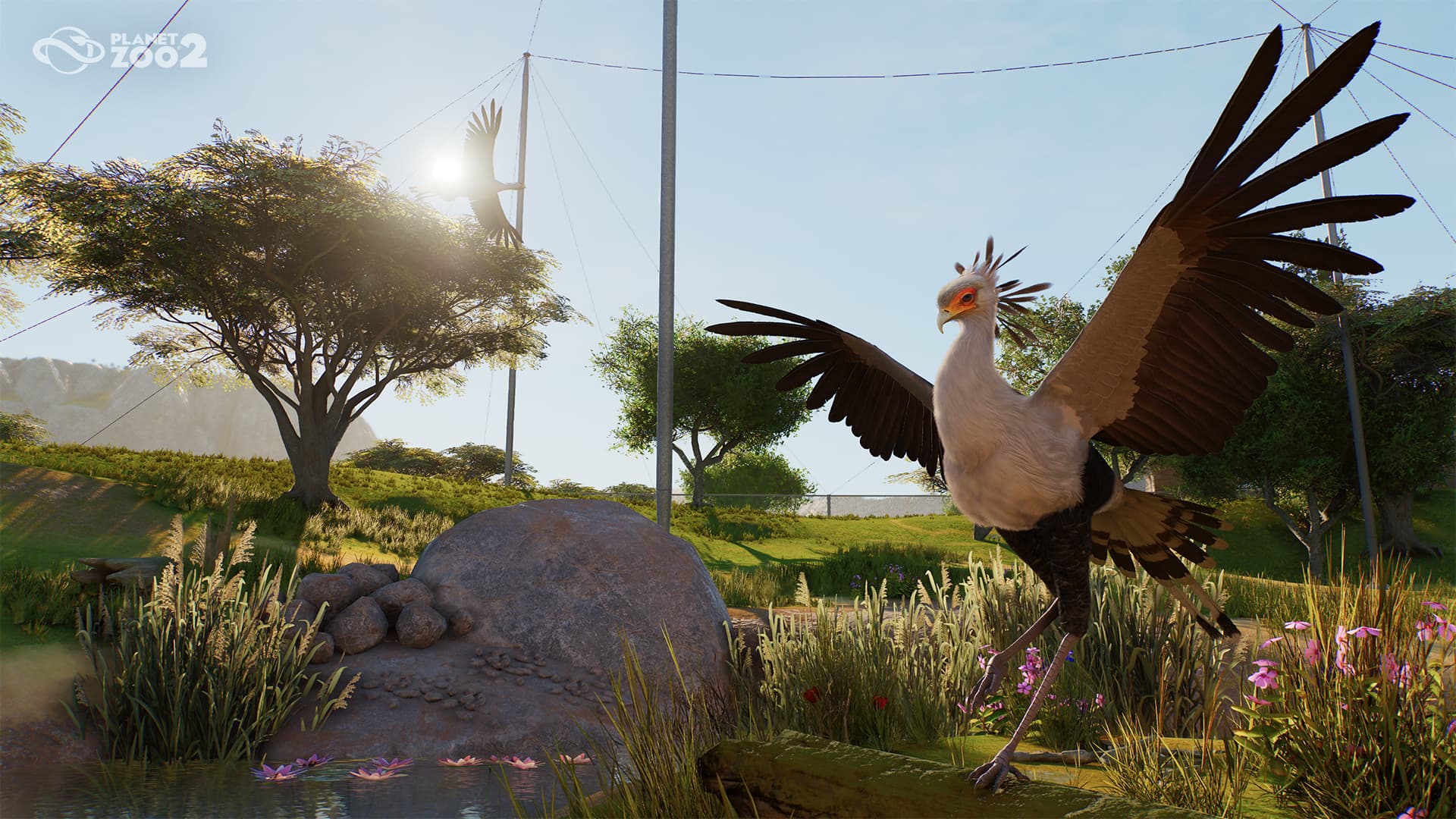 Planet Zoo 2 Secretary Bird