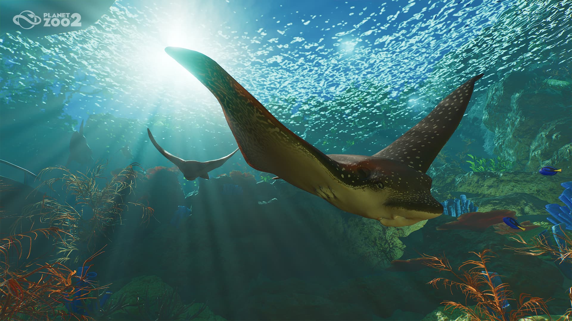 Planet Zoo 2 Spotted Eagle Ray