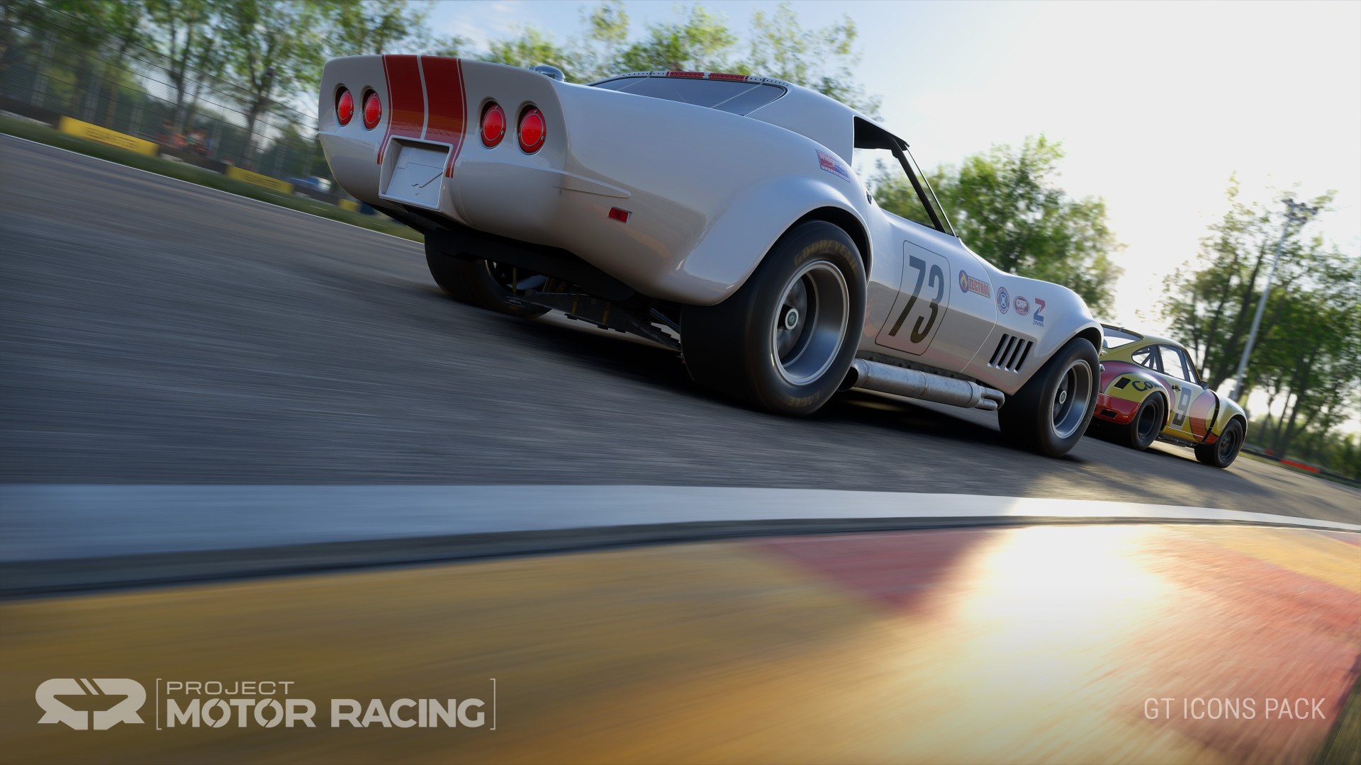 Project Motor Racing