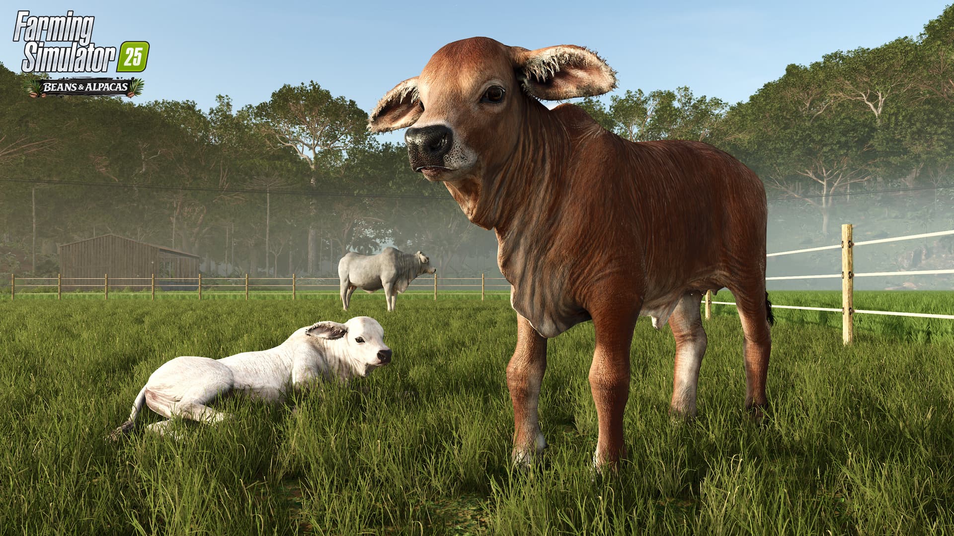 Farming Simulator 25 Beans and Alpacas brahman cows