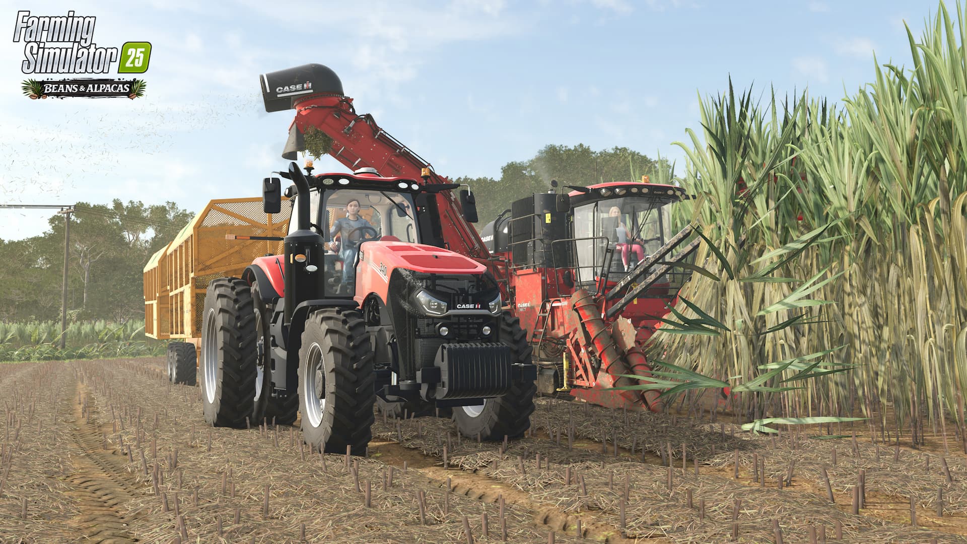 Farming Simulator 25 Beans and Alpacas harvesting sugarcane