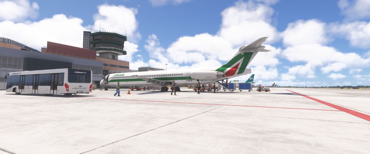 Microsoft Flight Simulator 2024 Maddog