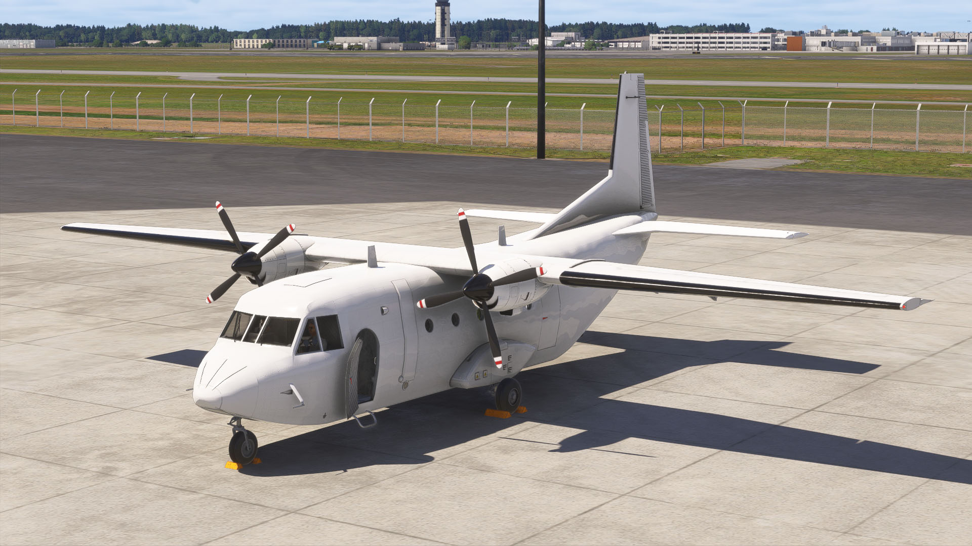 A flight simulation scene: Microsoft Flight Simulator Aviocar