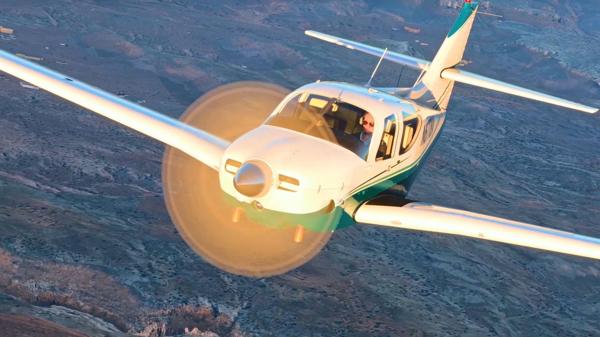 Microsoft Flight Simulator Commander 114