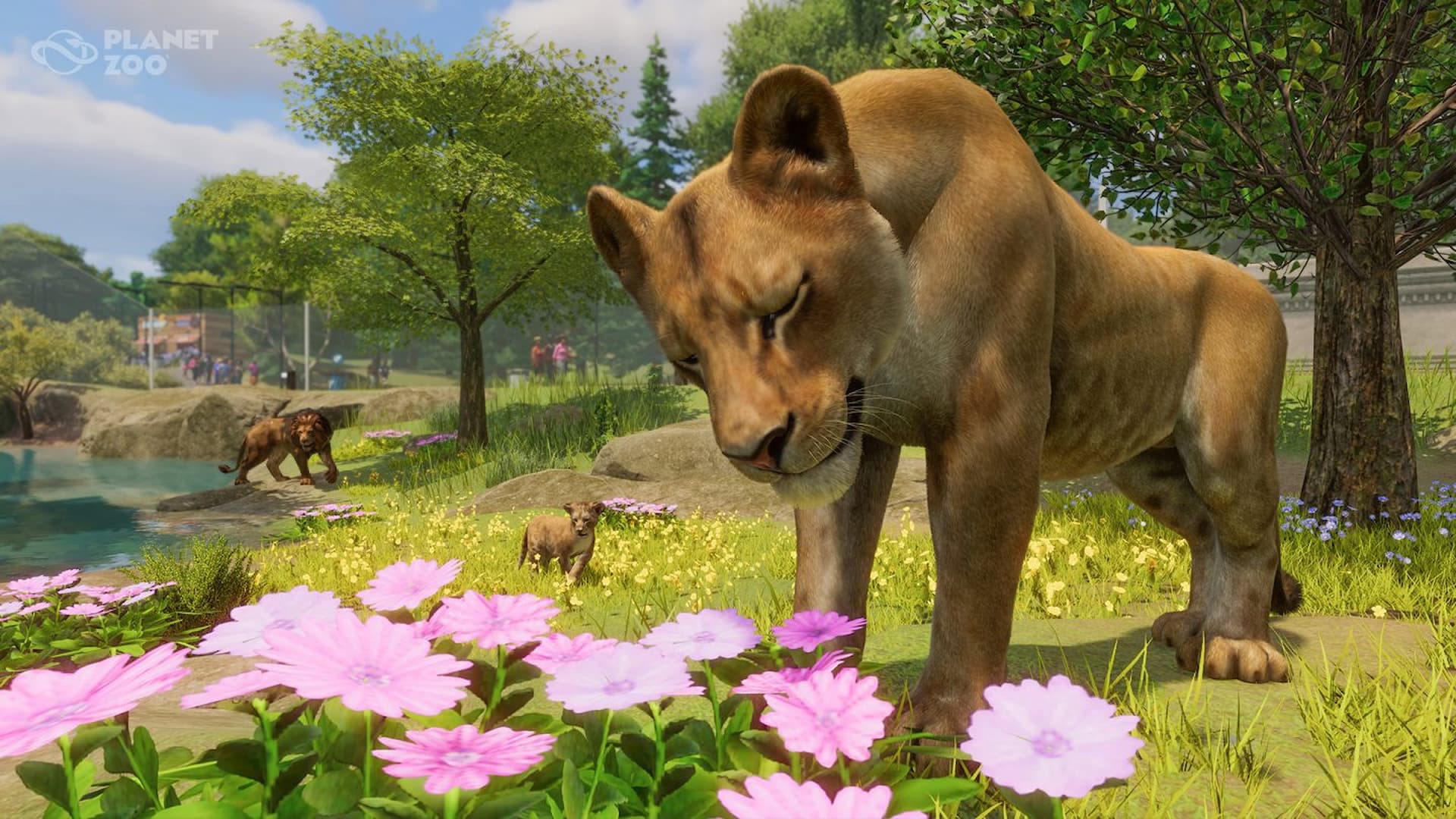 Planet Zoo 2 West African Lion
