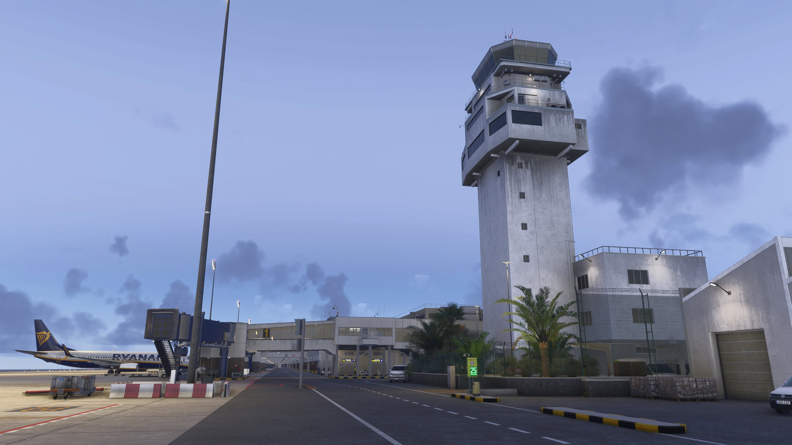 A flight simulation scene: Microsoft Flight Simulator 2024 Tenerife South