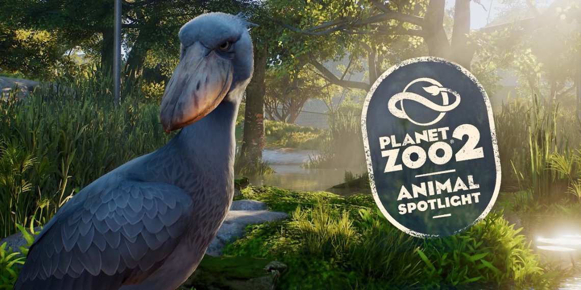 planet zoo 2 shoebill key art