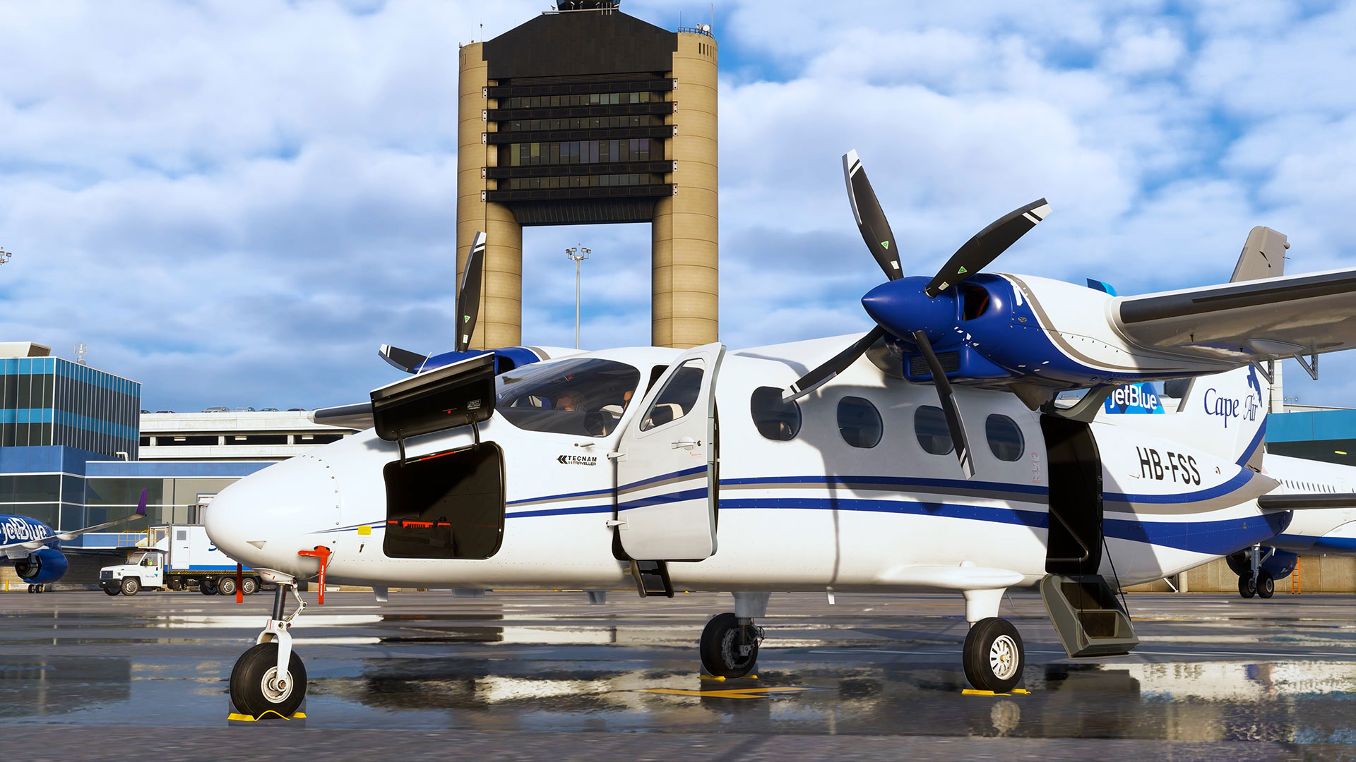 A flight simulation scene: Microsoft Flight Simulator Tecnam