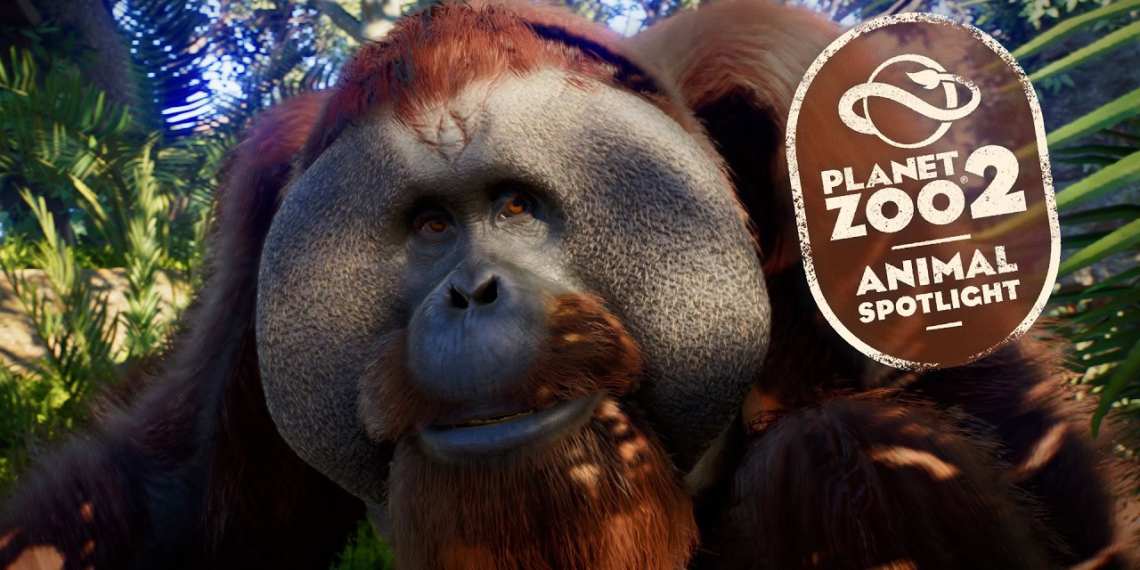 planet zoo 2 sumatran orangutan