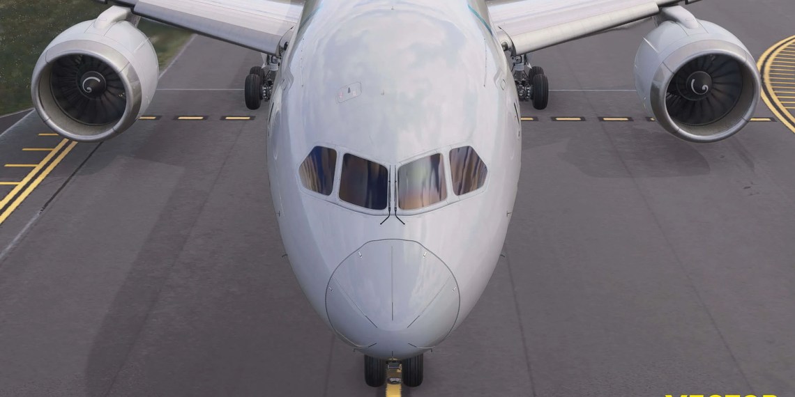 A flight simulation scene: MSFS Vector 787