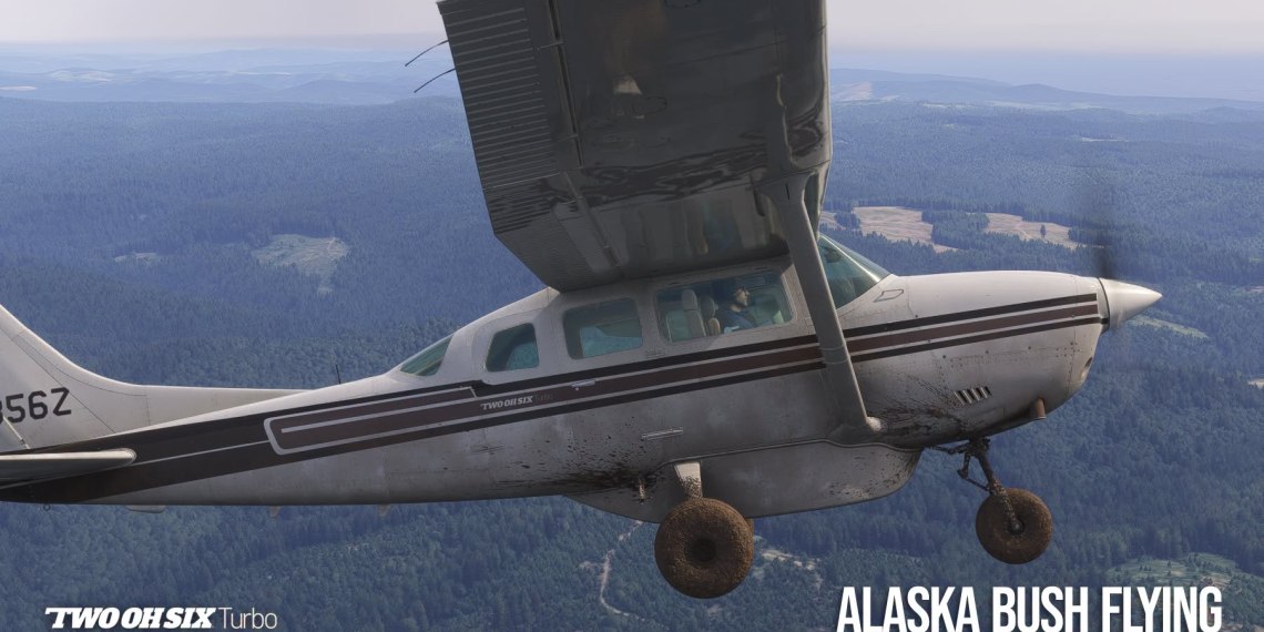 A flight simulation scene: Microsoft Flight Simulator 2024 Carenado