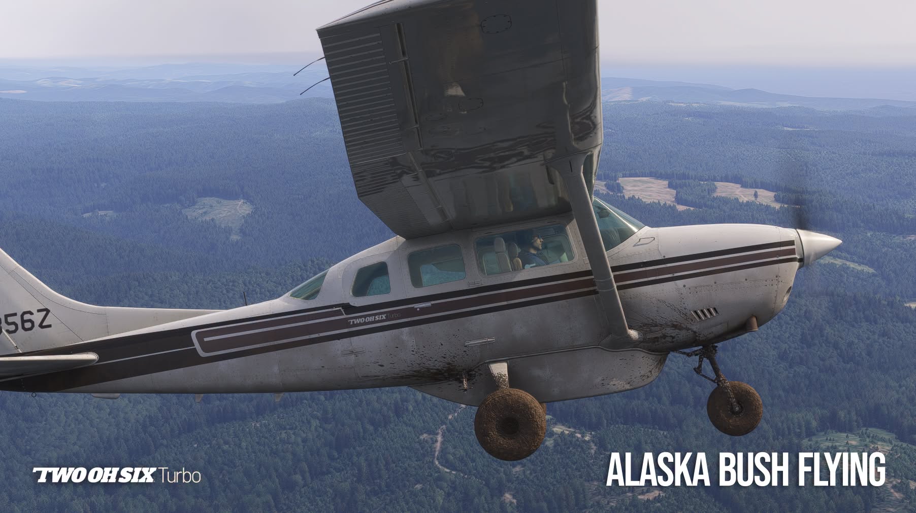 A flight simulation scene: Microsoft Flight Simulator 2024 Carenado